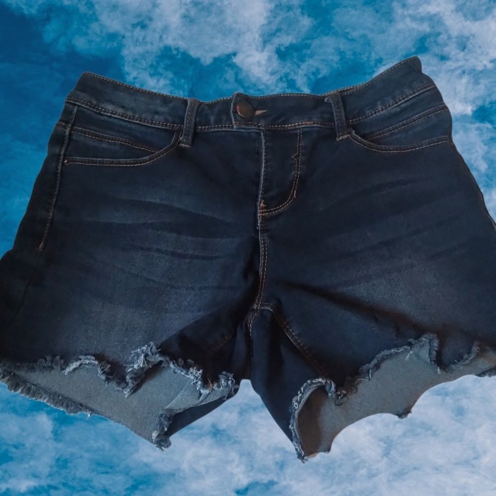 Women's Thorn denim shorts curvy fit size 6